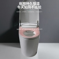 ceramic automatic Flushing smart Closestool